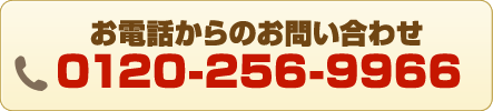 お電話でのお問い合わせは　0120-256-9966まで